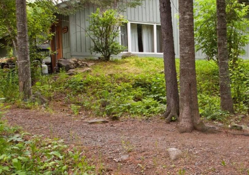 Lodge Gunflint *